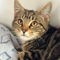 Photo of Perry