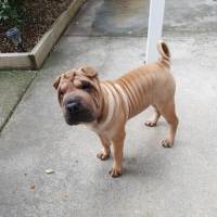 Photo of Miss Polly