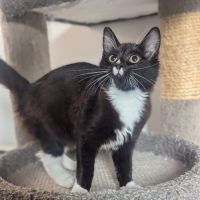 Photo of Charlotte & Benson