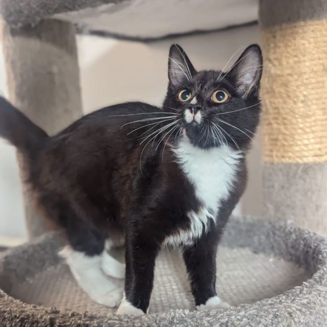 Photo of Charlotte & Benson