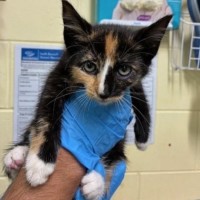 Photo of Molly