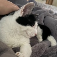 Photo of Reuben