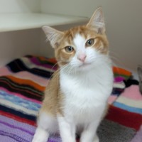 Photo of 🌞 Sunny 6751 🌞