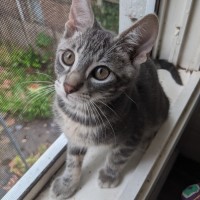 Photo of Poco