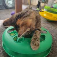 Photo of Maisy
