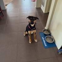 Photo of Ellie 