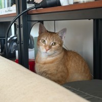 Photo of Hester
