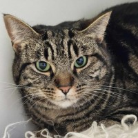 Photo of 🍧 Maisie 6301 🍧