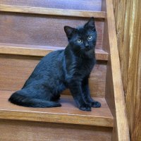Photo of Jiji