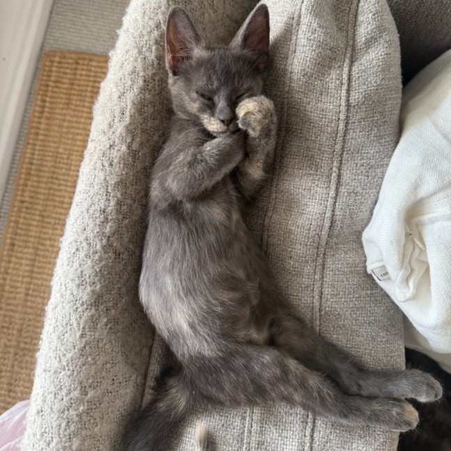 Photo of Greta