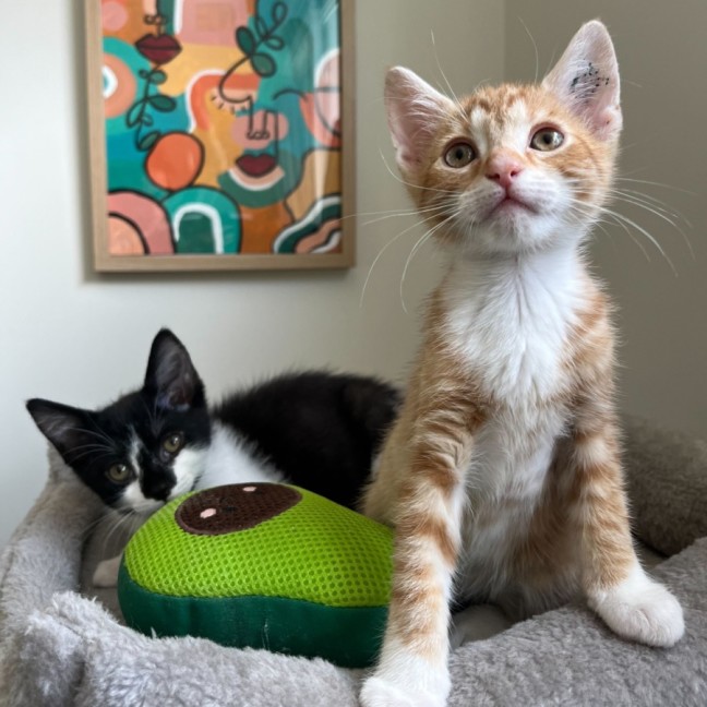 Photo of Carter & Nelson