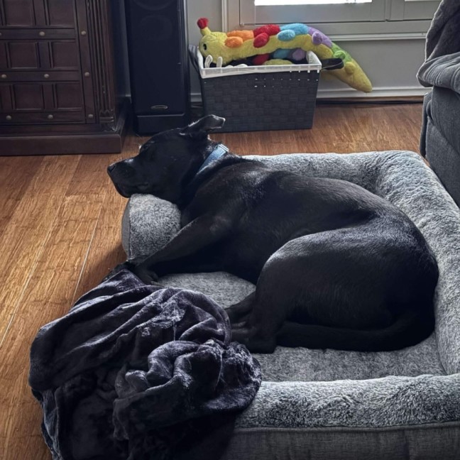 Photo of Tucker