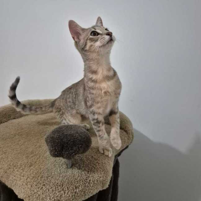 Photo of Audrey 🌹🌹🌹