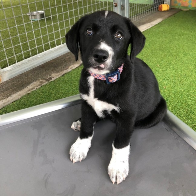 Photo of D1263 Regina