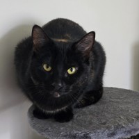 Photo of Maize & Sultana (Located Wantirna)