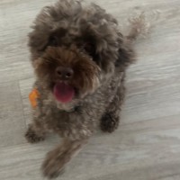 Photo of Star 