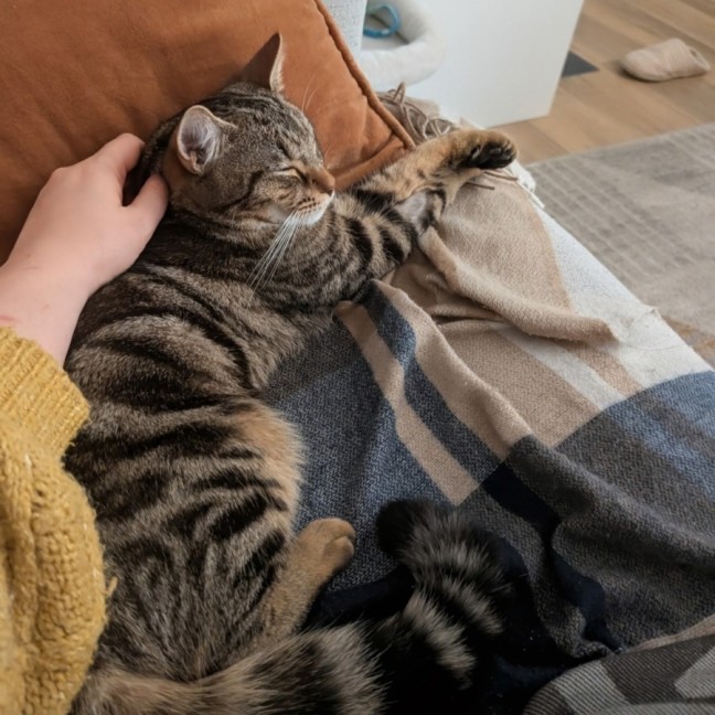 Photo of Linus 