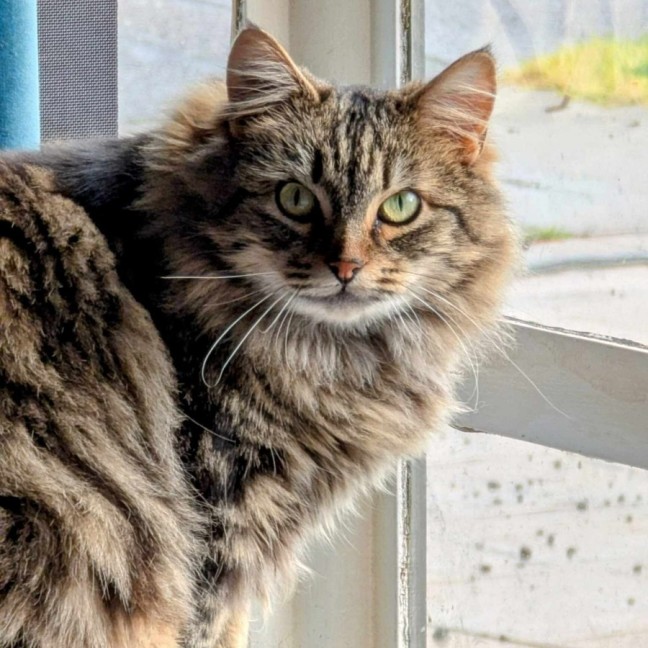 Photo of Felicity 🌹