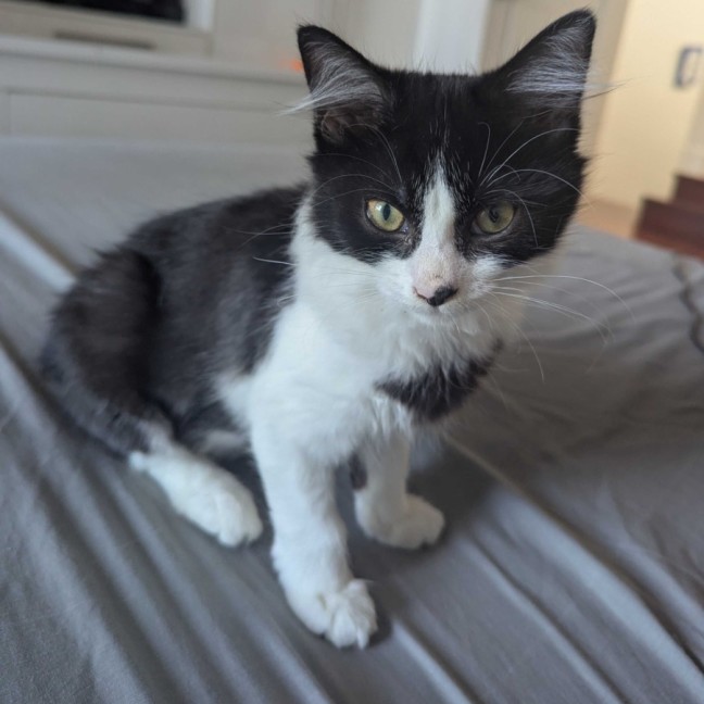 Photo of Nini 