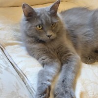 Photo of Savannah