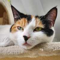 Photo of 🎡 Angelica 5623 🎡