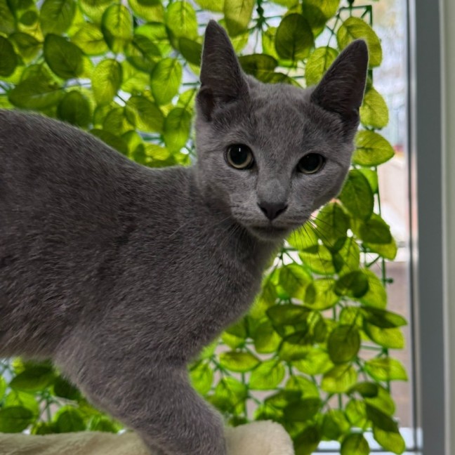 Photo of 🤩 Sasha 6868 🤩