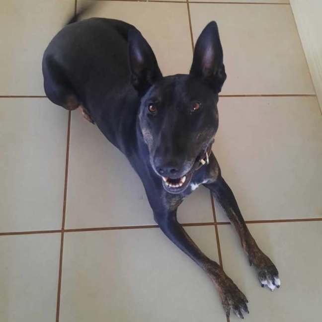 Photo of Josie