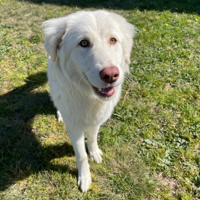 Photo of Leah