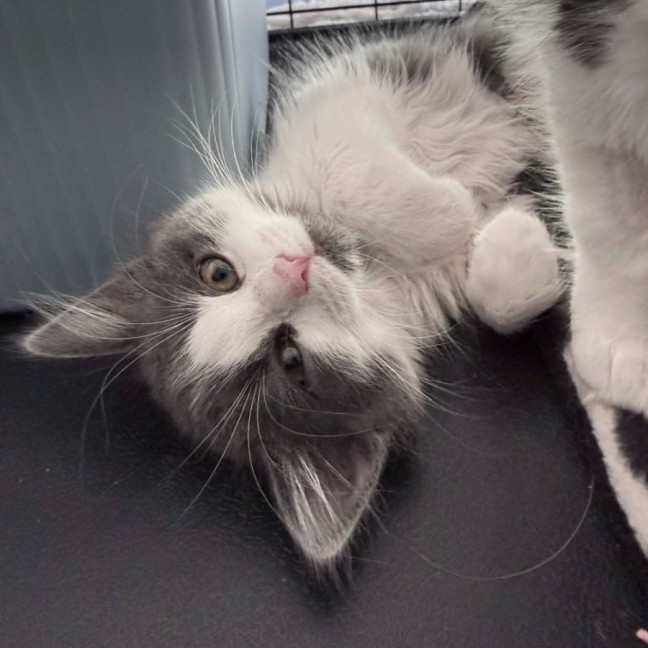 Photo of Laylah & Kyrah