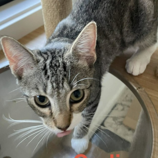 Photo of Carlie 🥰