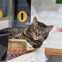 Photo of Lucifer