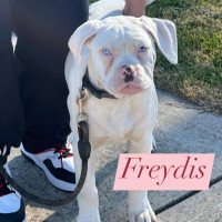 Photo of Freydis