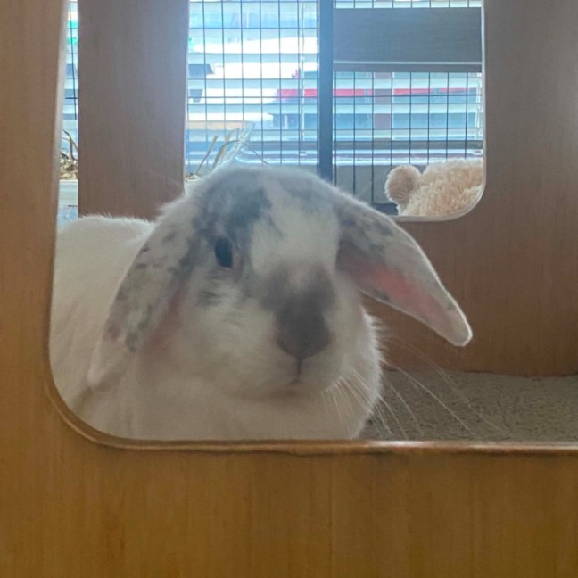 Photo of Nellie