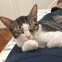 Photo of Bella