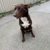 Photo of Missy