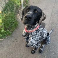 Photo of Murphy
