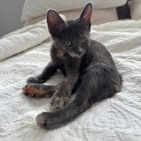 Photo of Greta