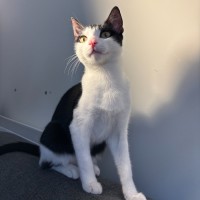 Photo of Gonzales