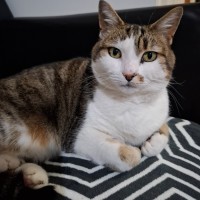 Photo of Little Girl