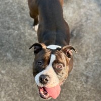 Photo of Karma