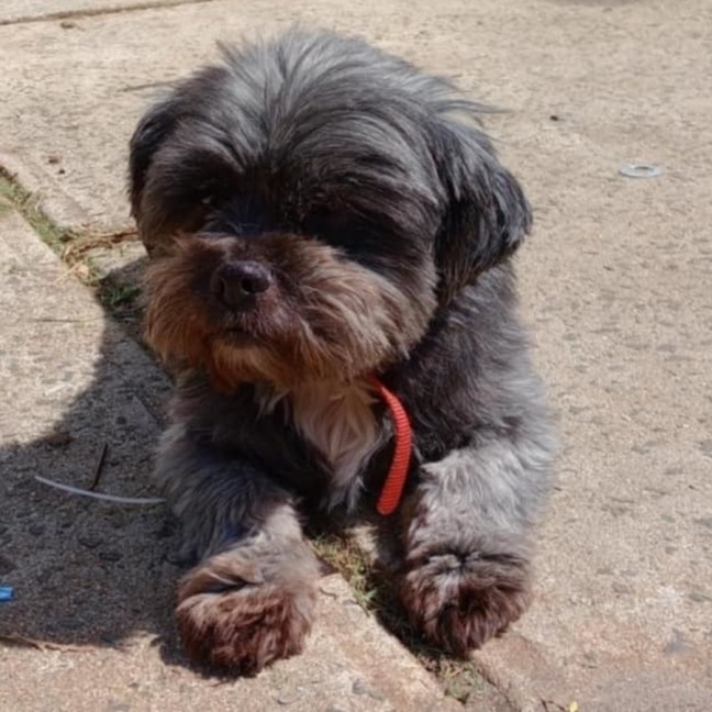 Photo of Bearboo And Melli