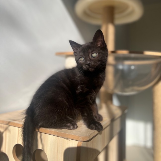 Photo of Ember ❤️‍🔥