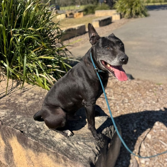 Photo of Diego