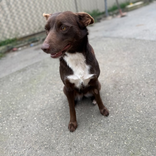 Photo of Missy