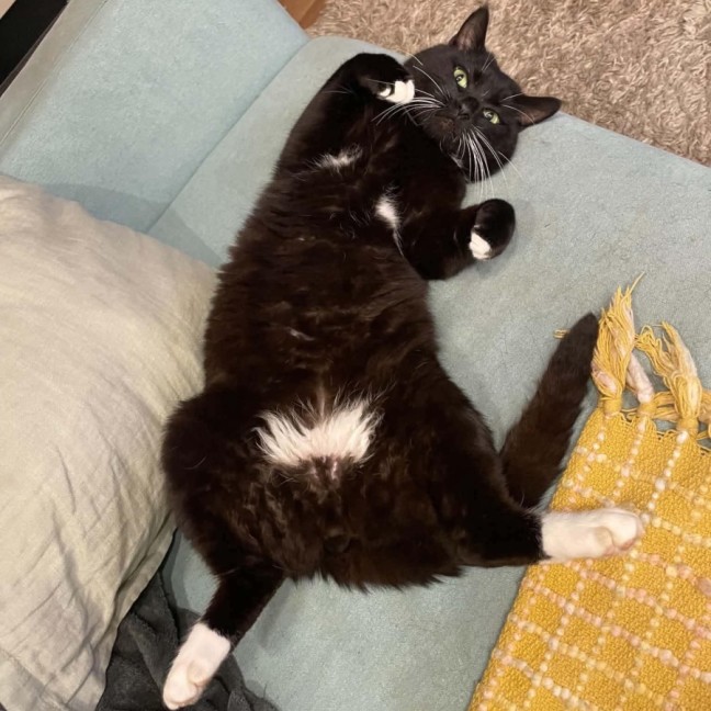 Photo of Winston