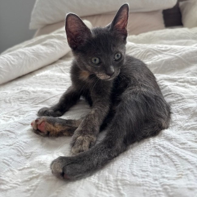 Photo of Greta