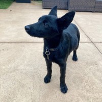 Photo of Jacky Weaver