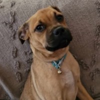 Photo of Bingo 