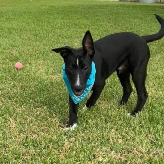 Photo of Buttons