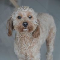 Photo of Mirra